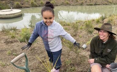 Freeland Reserve: protecting the protector